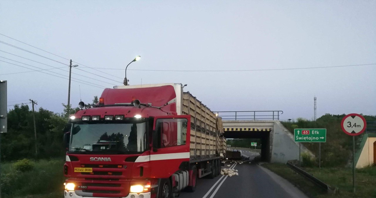 Niemal udało się przejechać... /Informacja prasowa