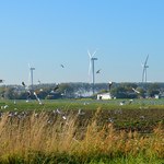 ​Niemcy chcą zwiększyć produkcję prądu z odnawialnych źródeł energii