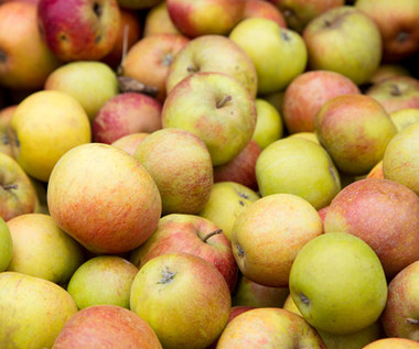 Niemcy mają problem z polskimi jabłkami. "Są piękne i w tak korzystnej cenie"