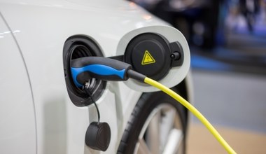 Niemcy masowo rezygnują z elektryków. Wracają do samochodów spalinowych