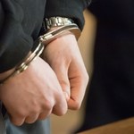 Niemcy: Pięć osób aresztowanych. "Ostatnia Fala Obrony" już miała plan ataków