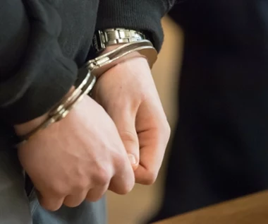 Niemcy: Pięć osób aresztowanych. "Ostatnia Fala Obrony" już miała plan ataków