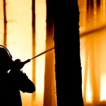 Niemcy: Potężny pożar lasu, ewakuowano kilkaset osób