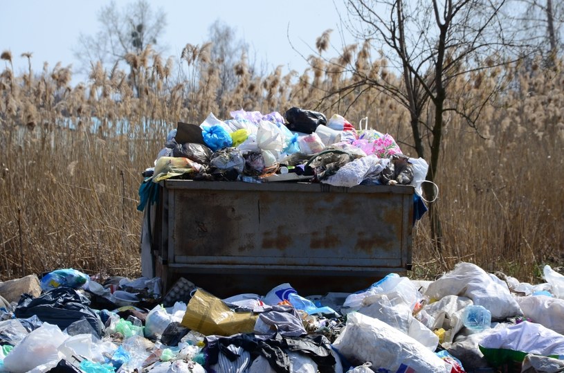 Niemcy są liderem wśród państw europejskich pod względem eksportu śmieci. Najwięcej odpadów trafia do krajów azjatyckich /123RF/PICSEL