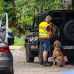 Niemcy: Setki policjantów zaangażowane w poszukiwania lwicy