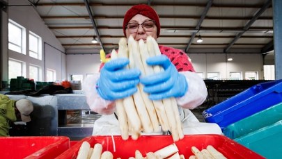 Niemcy tracą na atrakcyjności. Poradzą sobie bez Polaków i Rumunów?