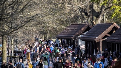 Niemcy: Trzeci dzień z rzędu maleje liczba zgonów z powodu koronawirusa