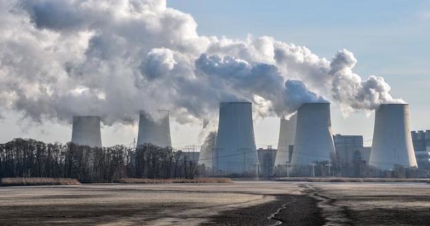 Niemcy właśnie wyczerpały swoje zasoby naturalne na ten rok /fot. picture-alliance/dpa/P. Pleul /Deutsche Welle