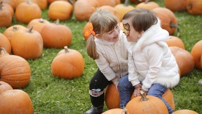 Niemcy: Wskaźnik urodzin najwyższy od 33 lat