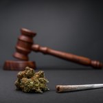 Niemcy wykonują pierwszy krok w kierunku legalizacji marihuany