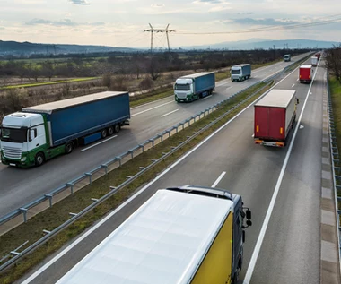 Niemcy. Wzrost wymiany handlowej z Polską