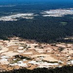 Niemcy zawieszają wpłaty do funduszu Amazonii