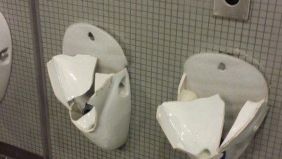 Niemcy zdemolowali toalety po meczu