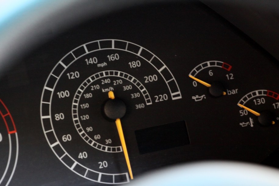 Niemieccy naukowcy odkryli, gdzie w mózgu myszy mieści się predkościomierz /Lech Muszyński /PAP