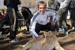 Niemieccy piłkarze oswajają lwy, na razie afrykańskie 