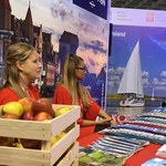 Niemieccy turyści coraz chętniej spędzają urlop w Polsce