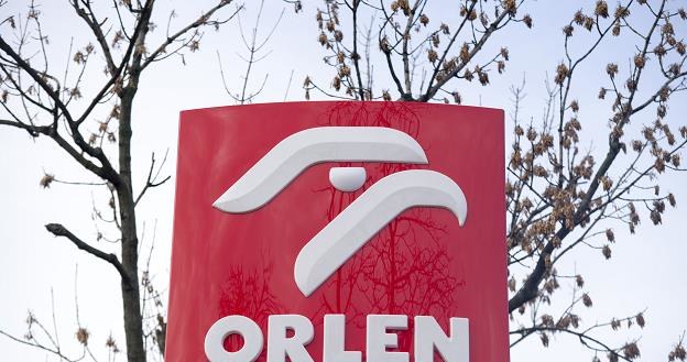 Niemiecka spółka z Grupy Orlen, wprowadziła do sprzedaży minisalami /&copy;123RF/PICSEL