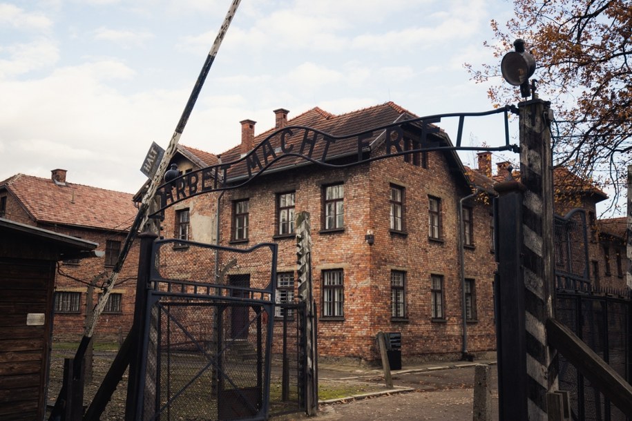 Niemiecki dom aukcyjny Felzmann wycofał sprzedaż dokumentów z Auschwitz /Shutterstock