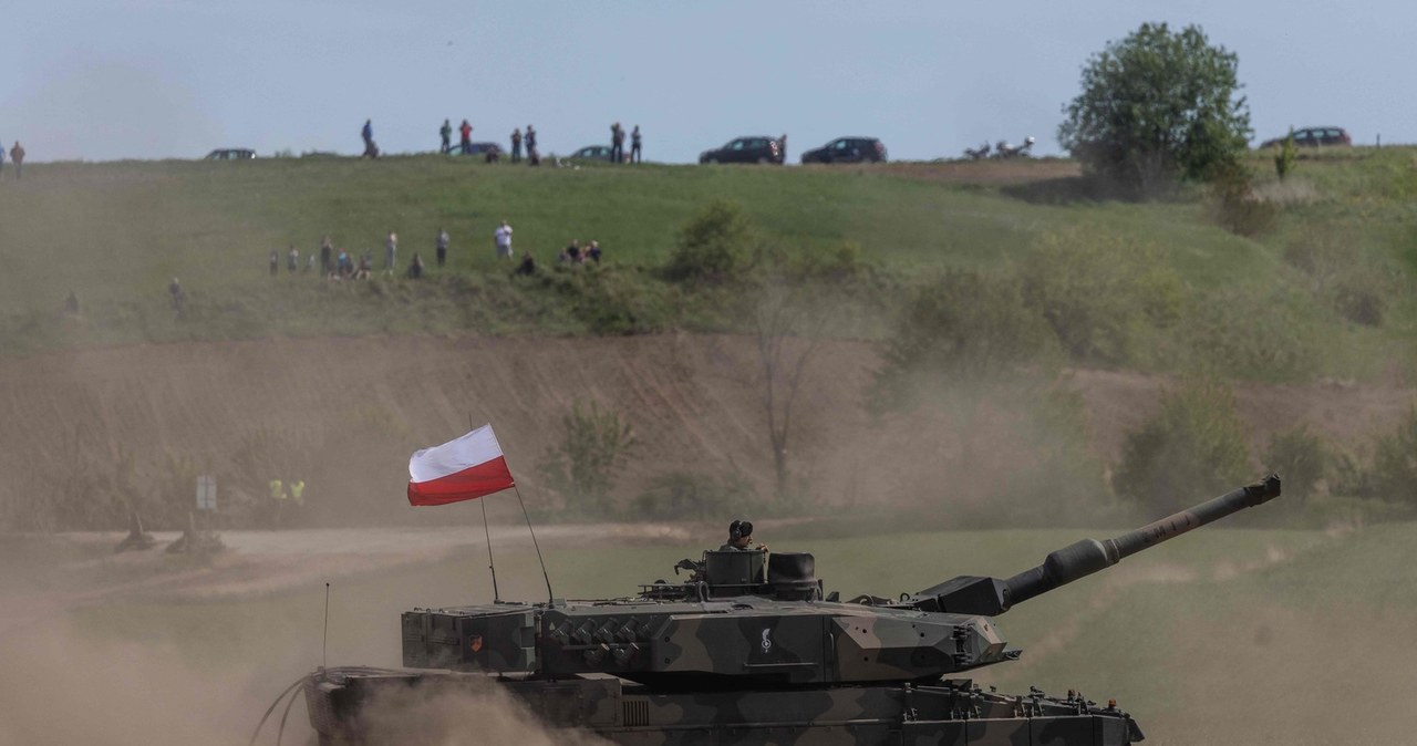 Niemieckie czołgi w polskiej armii /AFP