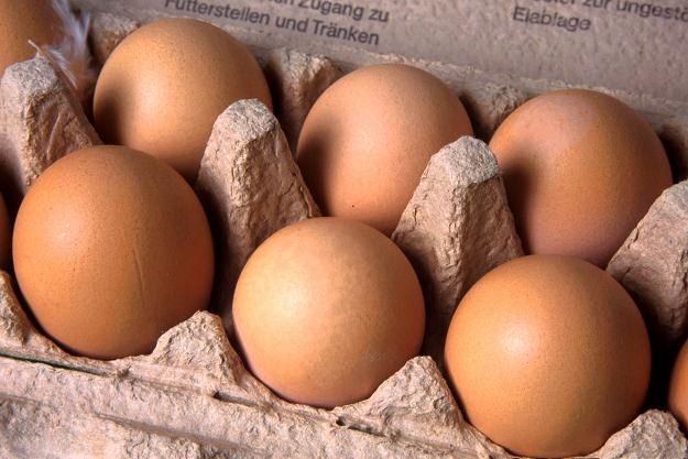 Niemieckie jaja są skażone rakotwórczymi dioksynami /&copy; Bauer