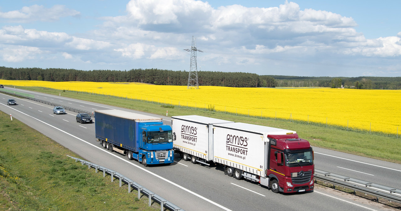 Niemieckie przepisy obowiązują także kierowców z firm transportowych świadczących usługi przewozowe. /Wojciech Strozyk/REPORTER /East News