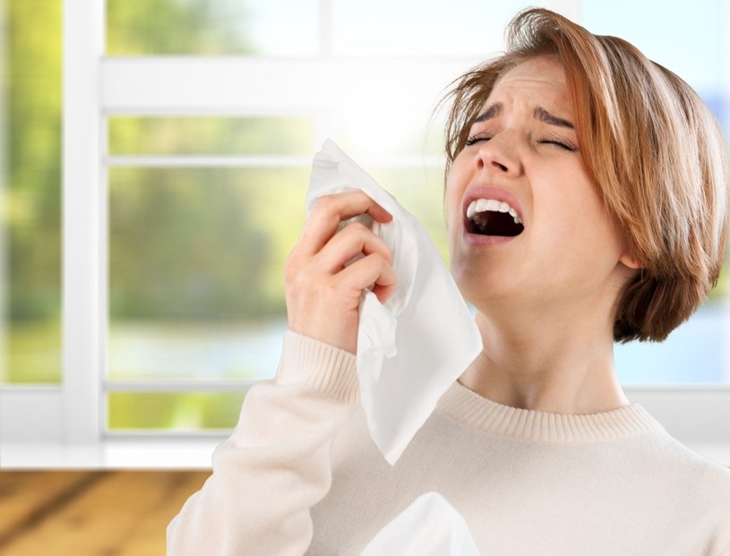 Nieoczyszczone powietrze jest siedliskiem bakterii i wirusów, które powodują alergię i choroby /123RF/PICSEL