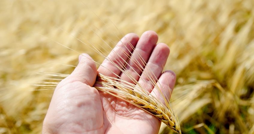 Niepełny wymiar czasu pracy, praca w kilku miejscach - to zjawiska częstsze na wsi niż w mieście /123RF/PICSEL