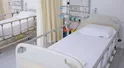 Niepokój w Niemczech. Śmiertelny wirus Borna wykryty u ludzi