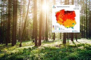 Niepokojący trend. Groźnie zwłaszcza na północy kraju
