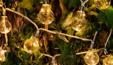 Niepowtarzalne lampy solarne LED w Biedronce. Rozświetl swój ogród już za 13,99 zł! 
