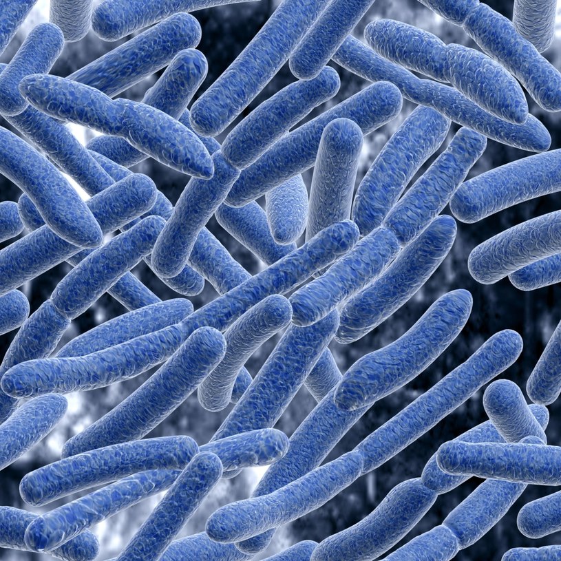 Niepoznany jeszcze mikrob może doprowadzić do pandemii choroby, z jaką ludzkość do tej pory nie miała do czynienia. /123RF/PICSEL