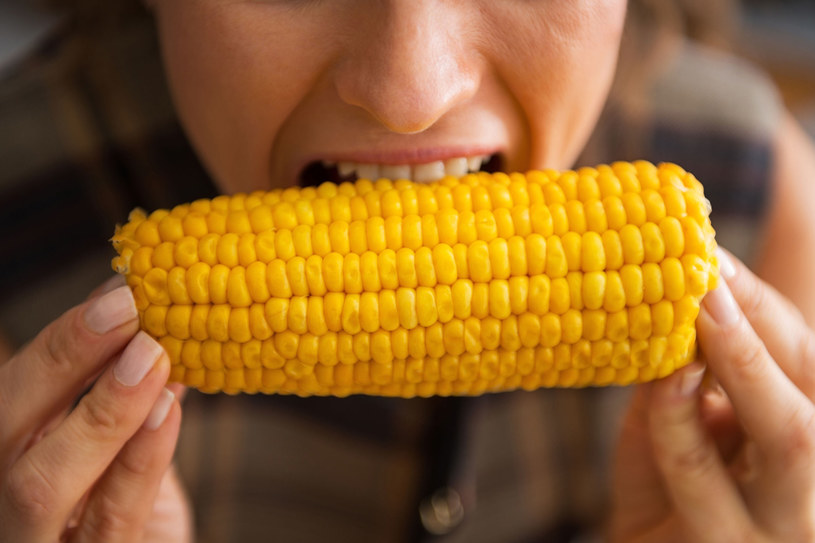 Niepozorna kukurydza ma w sobie wiele wartości odżywczych /123RF/PICSEL