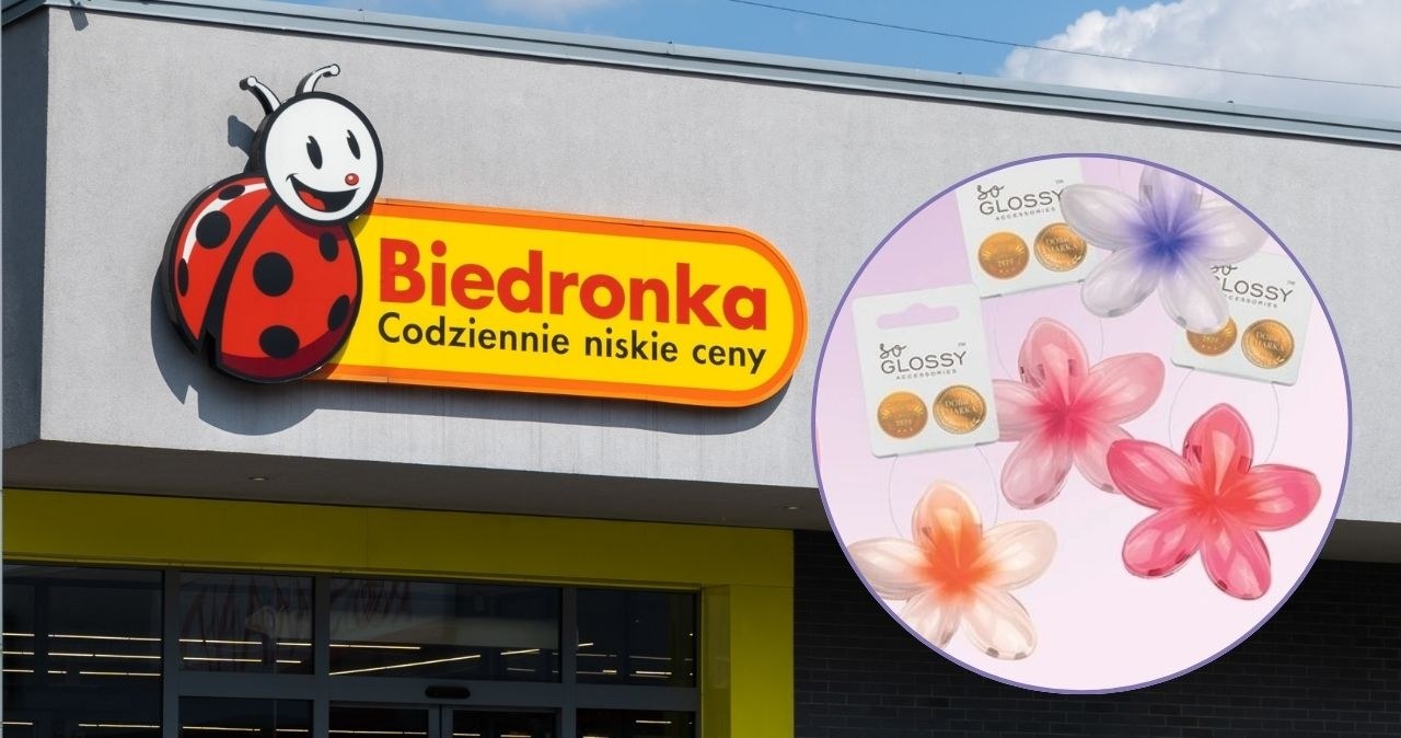 Niepozorne, a robią efekt wow! Ozdoby do włosów z Biedronki już w promocji /adobestock/Biedronka /INTERIA.PL