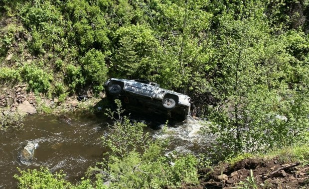 Niesamowita historia. Pies przebiegł 6,5 km, aby wezwać pomoc dla swojego właściciela