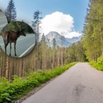 Zakopane Niesamowite nagranie góralki z Polski robi furorę. "Zwykły dzień w Tatrach"