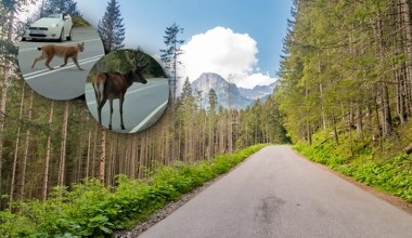 Niesamowite nagranie góralki z Polski robi furorę. "Zwykły dzień w Tatrach"