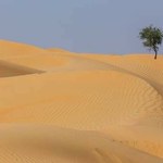 Niesamowite właściwości pyłu znad Sahary. Ochładza Ziemię