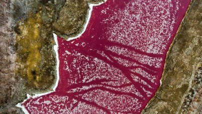 Niesamowite zdjęcia zamarzniętego stawu. Widok bajkowy, ale woda różowa od zanieczyszczeń