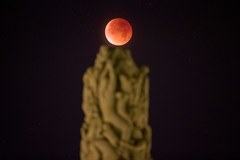 Niesamowity "Krwawy Księżyc". Zobacz całkowite zaćmienie!