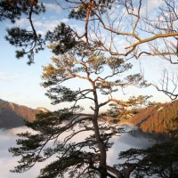 Wschód słońca w Pieninach