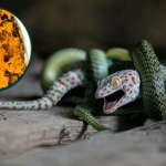 Niesłychane, co znaleźli w bursztynie. Wiadomość z ery dinozaurów