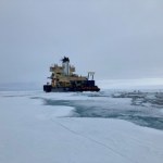 Niespodzianka w Arktyce. Topnienie lodu może napędzać życie morskie. I nie tylko...