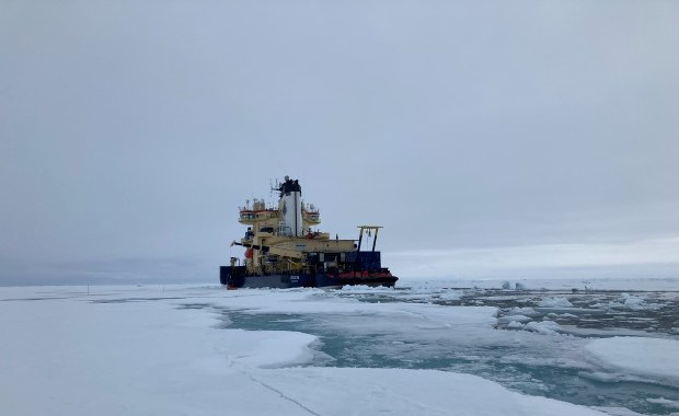 Niespodzianka w Arktyce. Topnienie lodu może napędzać życie morskie. I nie tylko...
