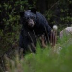 Niespodziewany gość restauracji. Usiadł przy stole, ale kelner nie podszedł