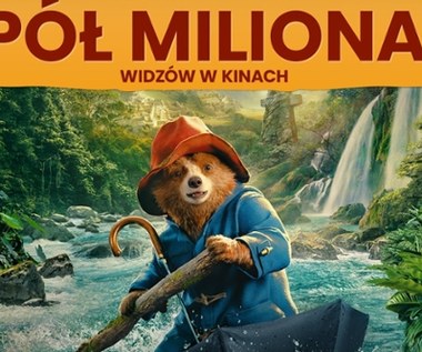 Niespodziewany hit. Ten film widziało w polskich kinach już pół miliona widzów