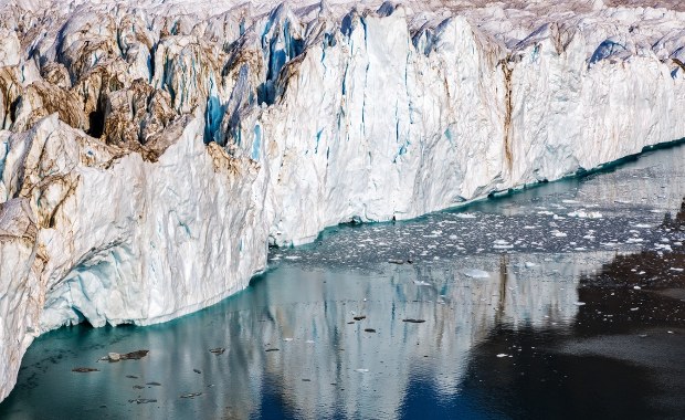 Niespodziewany przyrost masy lodu w Antarktydzie. Co się za tym kryje?