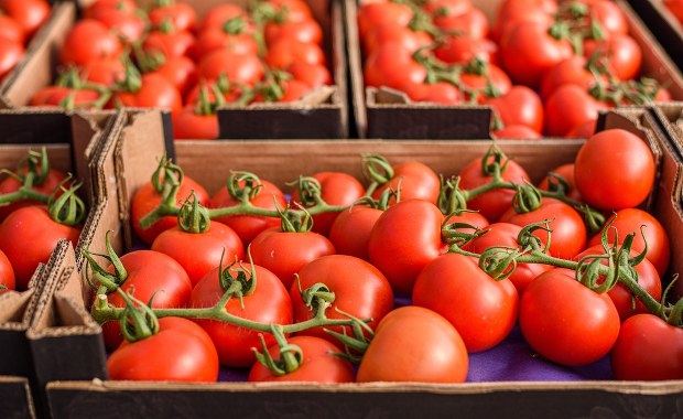 "Niespotykanie drogie". Złe wiadomości dla miłośników warzyw