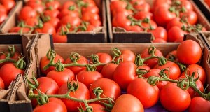 "Niespotykanie drogie". Złe wiadomości dla miłośników warzyw