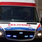 Nieszczęśliwy wypadek w Katowicach. Pies odgryzł chłopcu dwa palce 