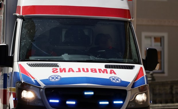 Nieszczęśliwy wypadek w Katowicach. Pies odgryzł chłopcu dwa palce 